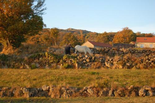 Hotel Rural Senhora Dos Rem�dios