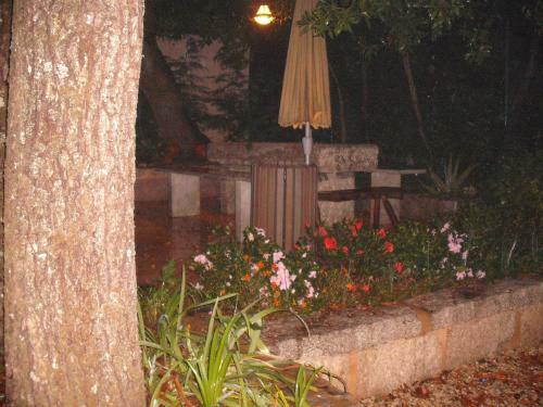 Agroturismo Moinhos Do Pis�o