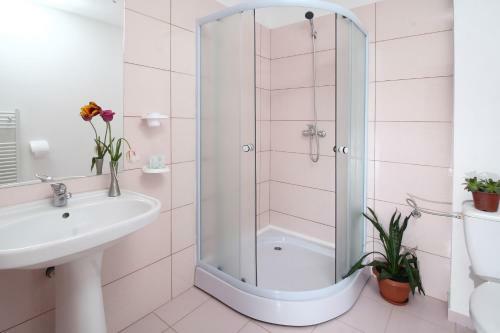 Hostal Pensiunea Floare de Colt