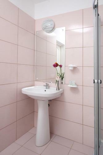 Hostal Pensiunea Floare de Colt