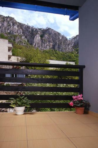Hostal Pensiunea Floare de Colt