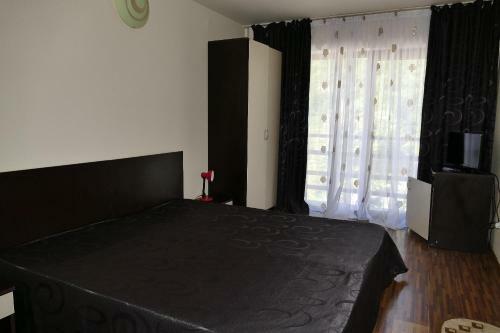 Hostal Pensiunea Pinul Negru