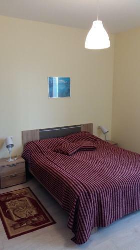 Hostal Pensiune-restaurant Caraiman