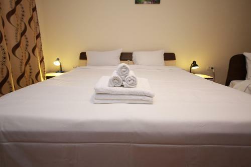 Hostal Pensiunea Criveanu
