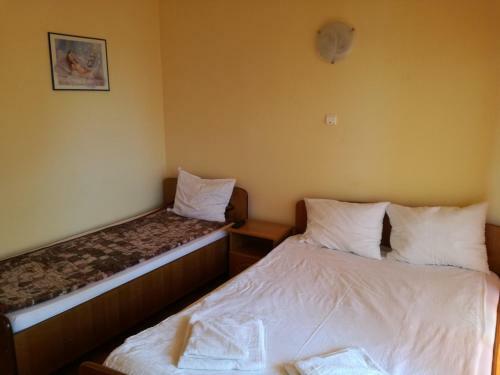 Hostal Cabana de La Trei Brazi
