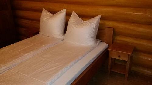 Hostal Pensiunea Izbucul Tauz