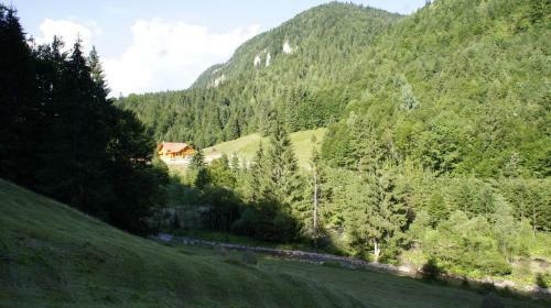 Hostal Pensiunea Izbucul Tauz