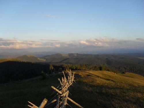 Hostal Casa Plai Din Bucovina
