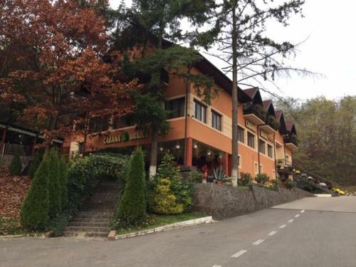 Hotel Pensiunea Turistica Cabana Bradet