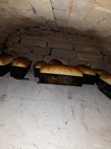 Hostal Pensiunea Casa Godja