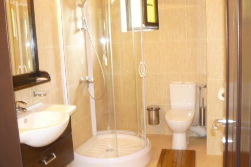 Hostal Pensiunea Casa Ancutei