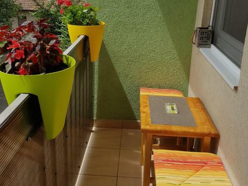 Apartman Boska
