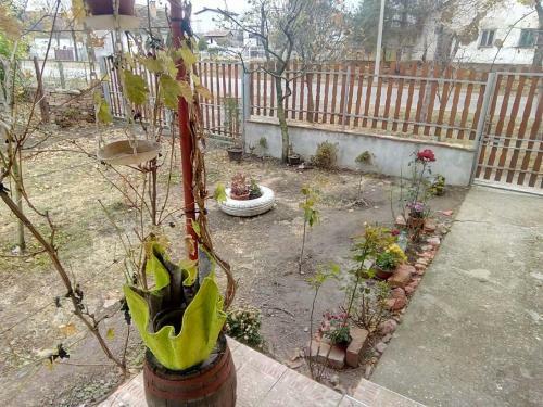 Agroturismo Guest House Micko