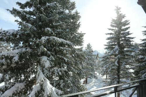 Mipet Apartmani Zlatibor