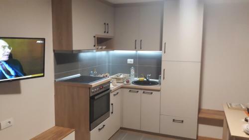 Mipet Apartmani Zlatibor