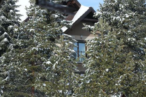 Mipet Apartmani Zlatibor