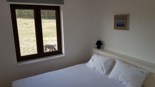 Vnb Apartman Tornik-zlatibor