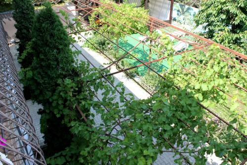 Hostal Irina Guest House