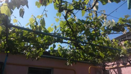 Hostal Guest House Ivana Golubtsa 25
