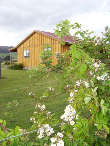 Longbourne Lodge Motel