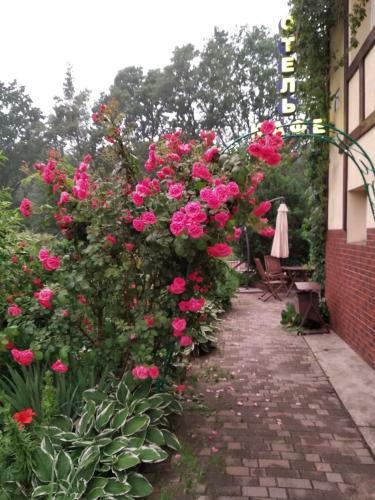 Golden Orchid Hotel