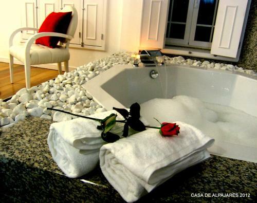 Hostal Casa De Alpajares - Casa De Campo, Enoteca & Spa