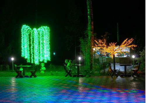 Hotel Oazis In The Forest