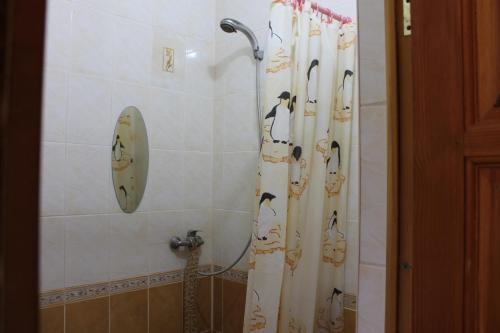 Posada Mini-hotel Tsvetochnaya 54