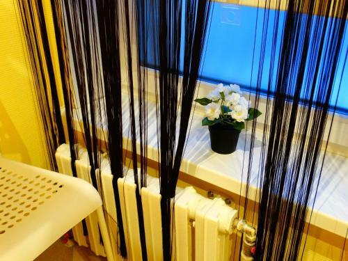 Pioneer Hostel