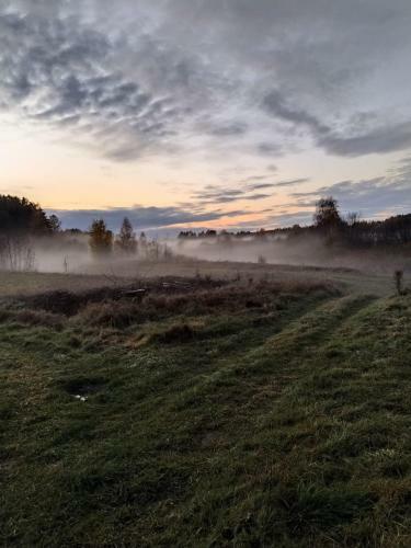 Ecofarm Of Nesterovi