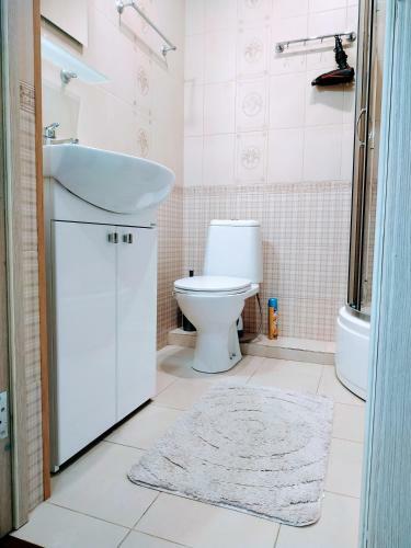 Apartment U Korolevskikh Vorot
