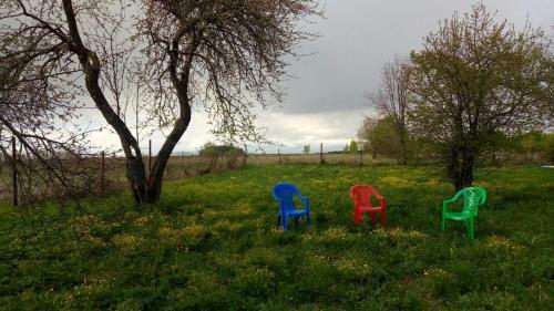 Agroturismo Eco-cottage Losinoye