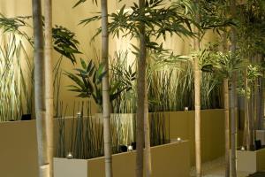 Radisson Plaza Hotel Minneapolis