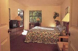 Hotel Park Shore Resort