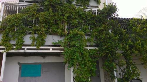 Hostal Guesthouse Loza