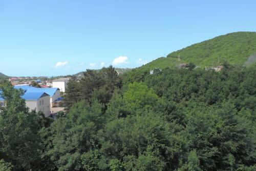 Hostal Guest House Faina