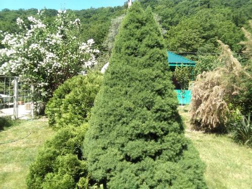 Hostal Guest House Na Lesnoy