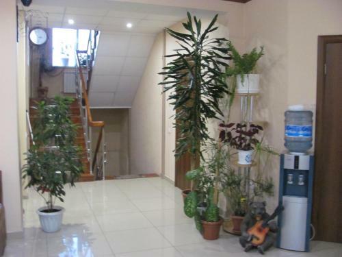 Hostal Vel-kom