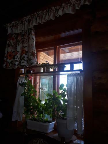 Guest House Kerzhatskie Palaty