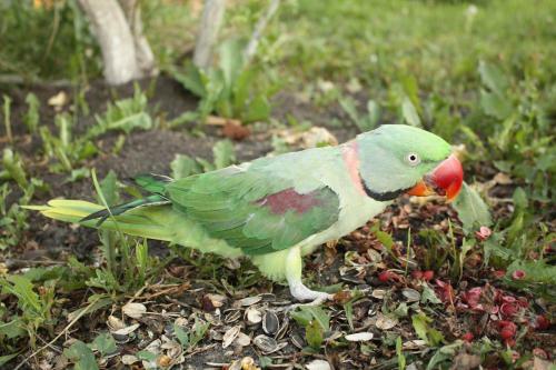 Guest House Kerzhatskie Palaty