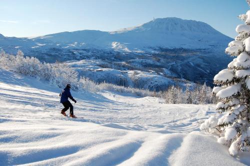 Kvit�vatn Fjellhytter