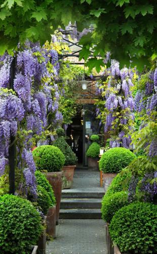 Tuinhotel