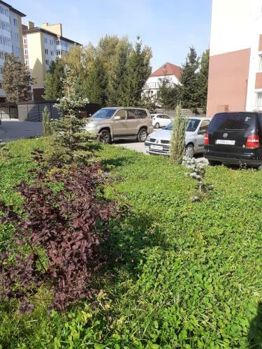 Apartment Yolki Zelyonyye