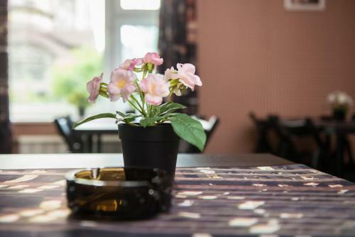 Hostel Green City Tyumen