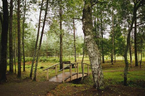 Hotel Valday Eco Club