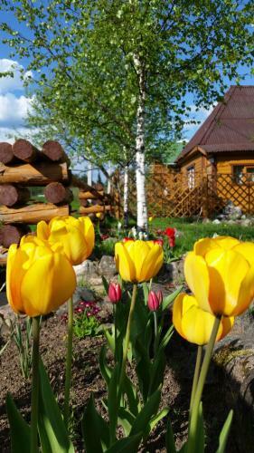 Hotel Baza Otdikha Vatzy