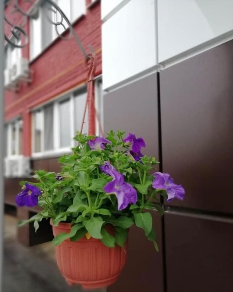 Business-hotel Voskresensk