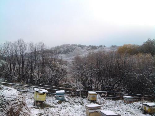 Hostal Guest House U Rodnika