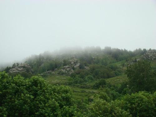 Hostal Guest House U Rodnika