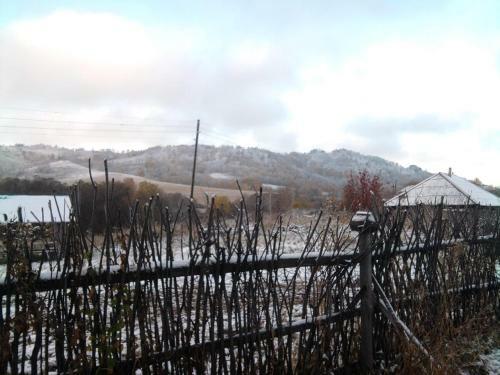 Hostal Guest House U Rodnika